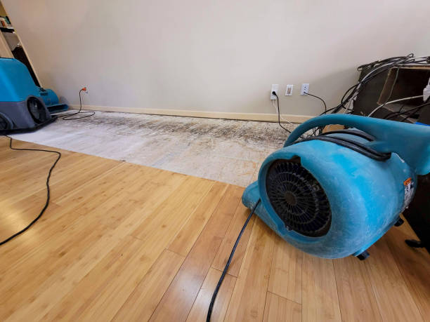Professional Flood Damage Cleanup technician working in Badger, IA